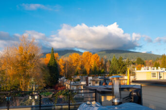 417 733 W 14th Street