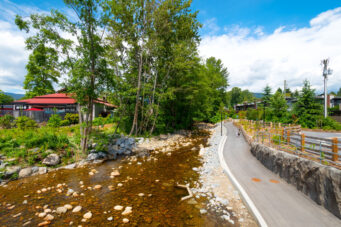 417 733 W 14th Street